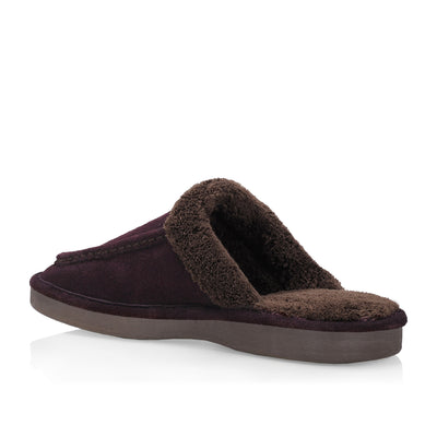 Ed men'sslipper (Brown)
